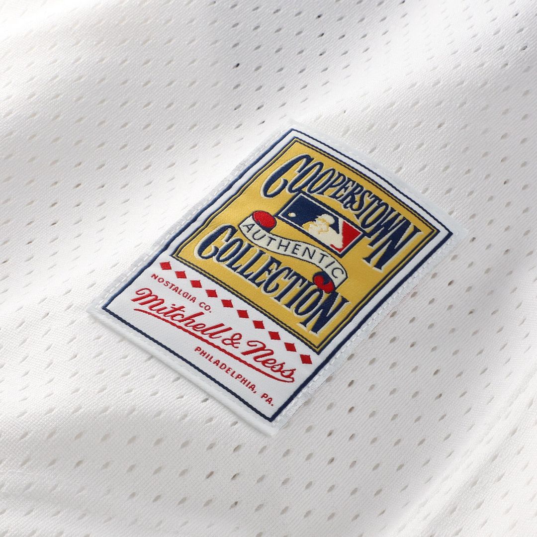 Chicago White Sox Carlton Fisk Mitchell & Ness Authentic Batting Practice Jersey - White