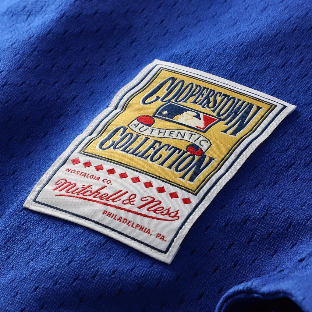 Los Angeles Dodgers Mike Piazza Mitchell & Ness Cooperstown Mesh Batting Practice Button - Up Jersey - Royal