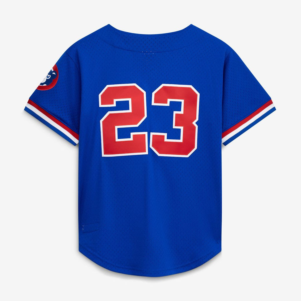 Chicago Cubs Ryne Sandberg Mitchell & Ness Cooperstown 1996 Mesh Batting Practice Button - Up Jersey - Royal