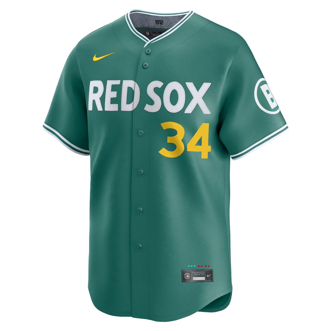 Boston Red Sox David Ortiz Nike 2025 City Connect Limited Retired Player Jersey - Green