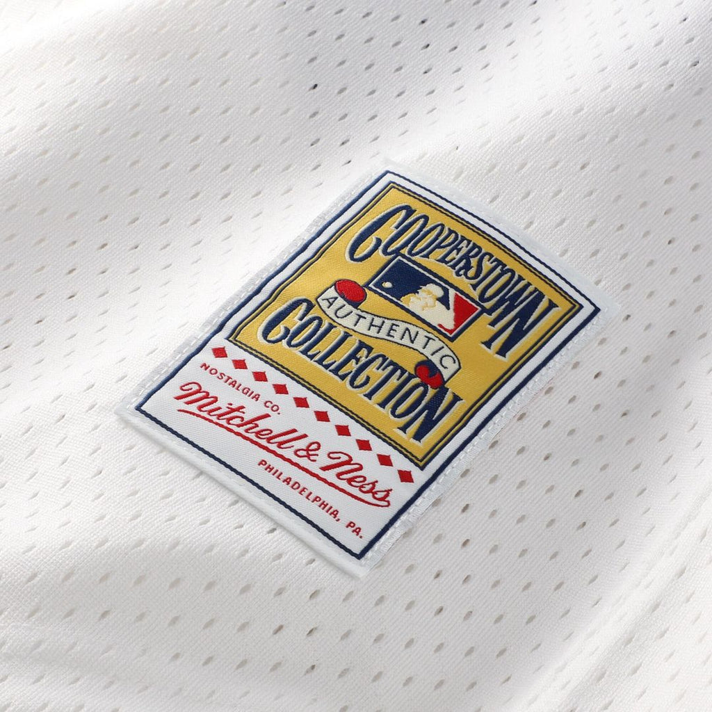 Chicago White Sox Carlton Fisk Mitchell & Ness Authentic Batting Practice Jersey - Navy