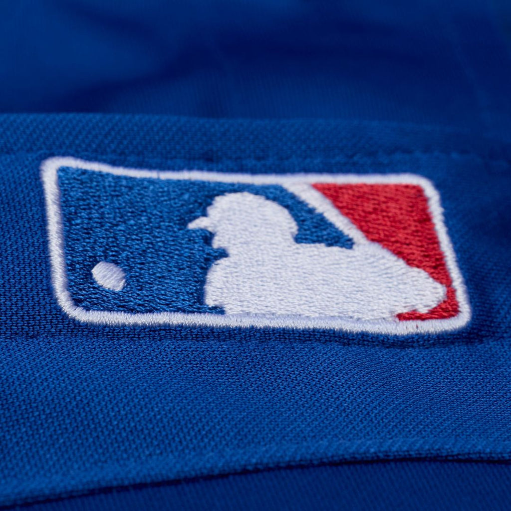 Texas Rangers Adrian Beltre Mitchell & Ness Cooperstown Mesh Batting Practice Button - Up Jersey - Royal