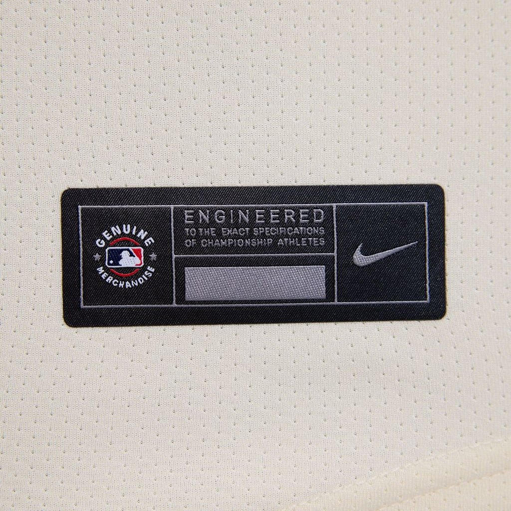 Philadelphia Phillies Ryan Howard Nike Women's Alternate Limited Jersey - Light Blue