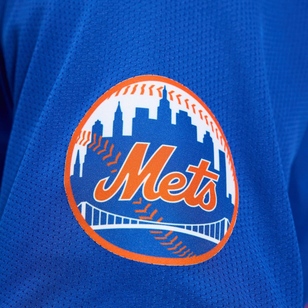 New York Mets Mark Vientos Nike Alternate Limited Player Jersey - Royal