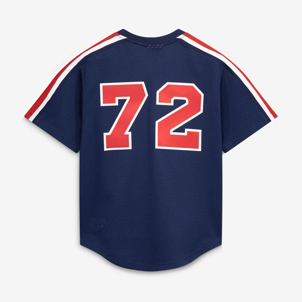 Chicago White Sox Carlton Fisk Mitchell & Ness Authentic Batting Practice Jersey - White