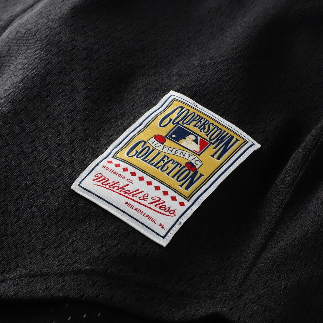 Arizona Diamondbacks Randy Johnson Mitchell & Ness Big & Tall Cooperstown Mesh Batting Practice Jersey - Black
