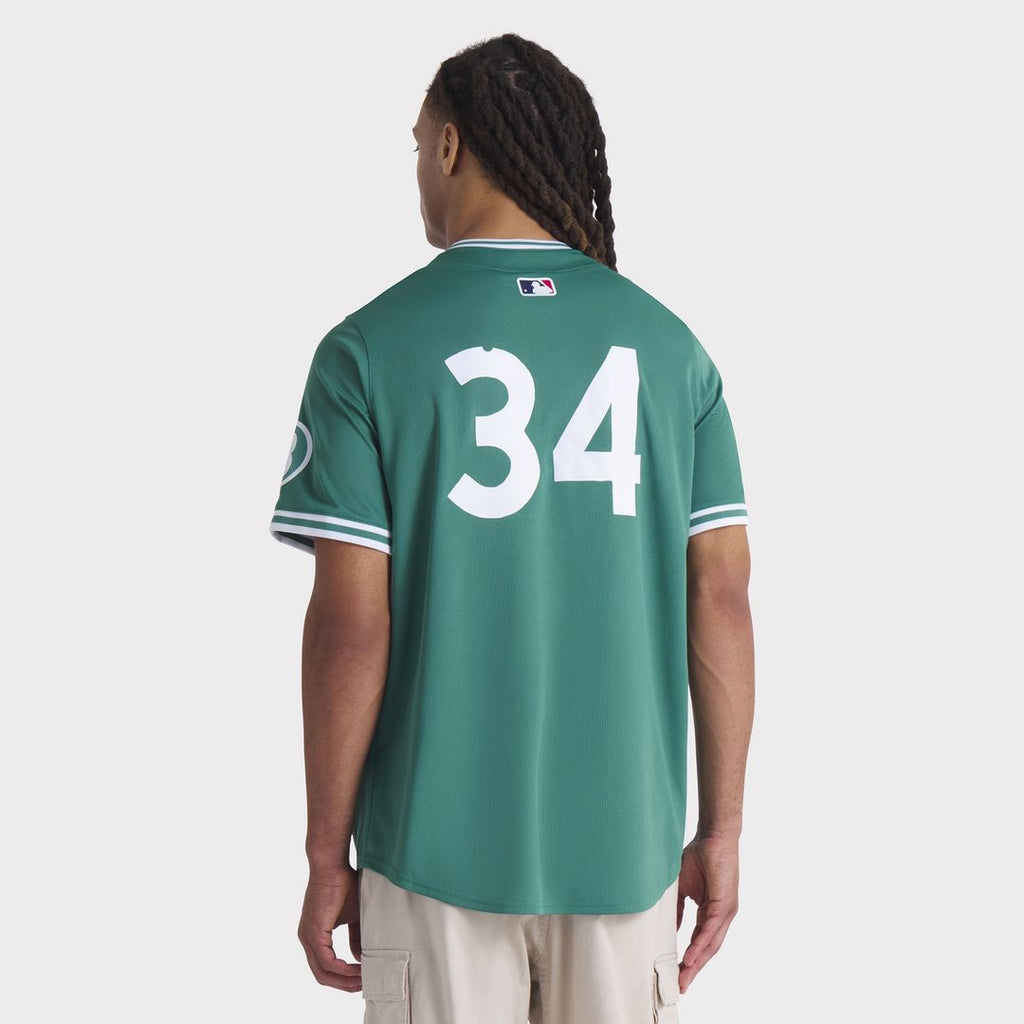 Boston Red Sox David Ortiz Nike 2025 City Connect Limited Retired Player Jersey - Green
