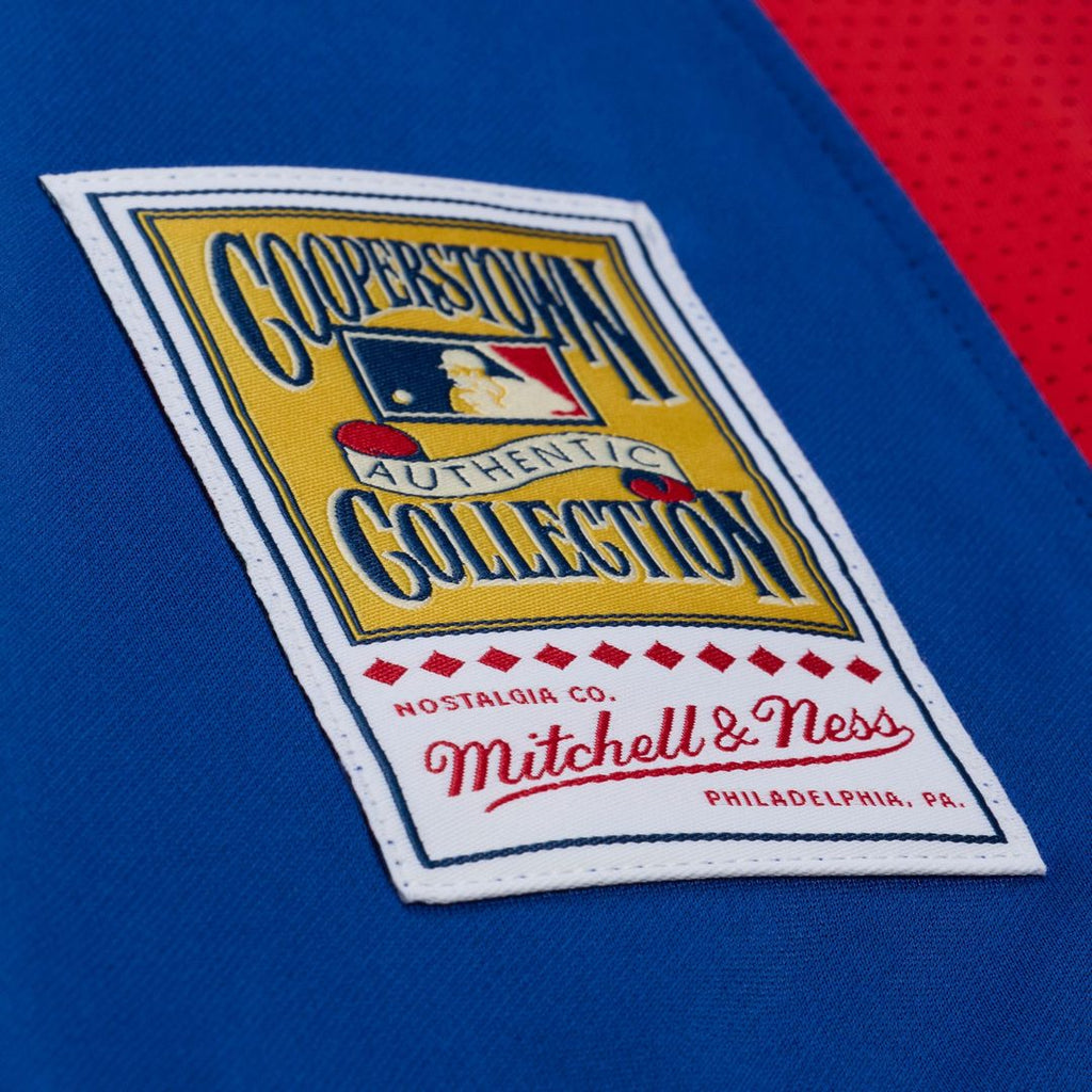 Texas Rangers Adrian Beltre Mitchell & Ness Cooperstown Mesh Batting Practice Button - Up Jersey - Royal