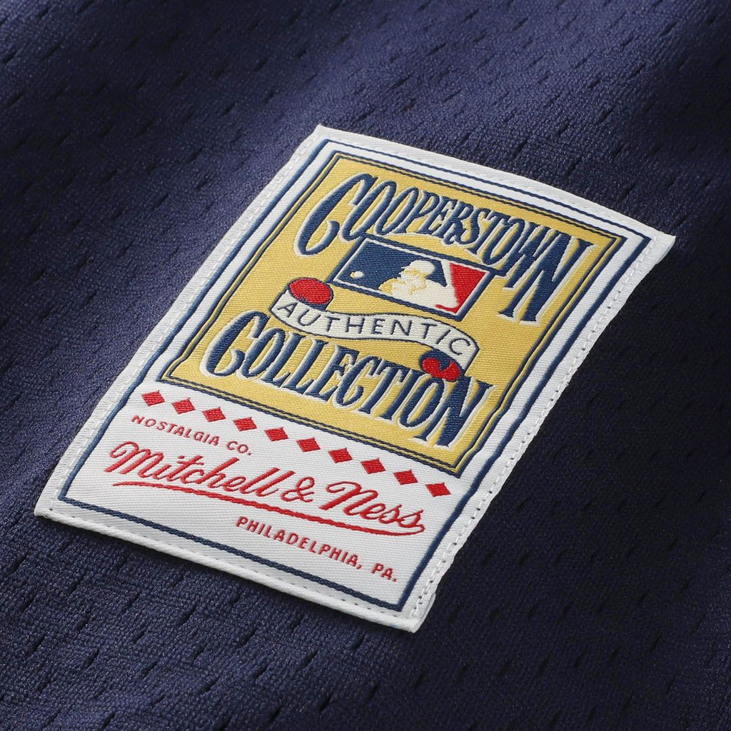 St. Louis Cardinals Ozzie Smith Mitchell & Ness Authentic Batting Practice Jersey - Navy