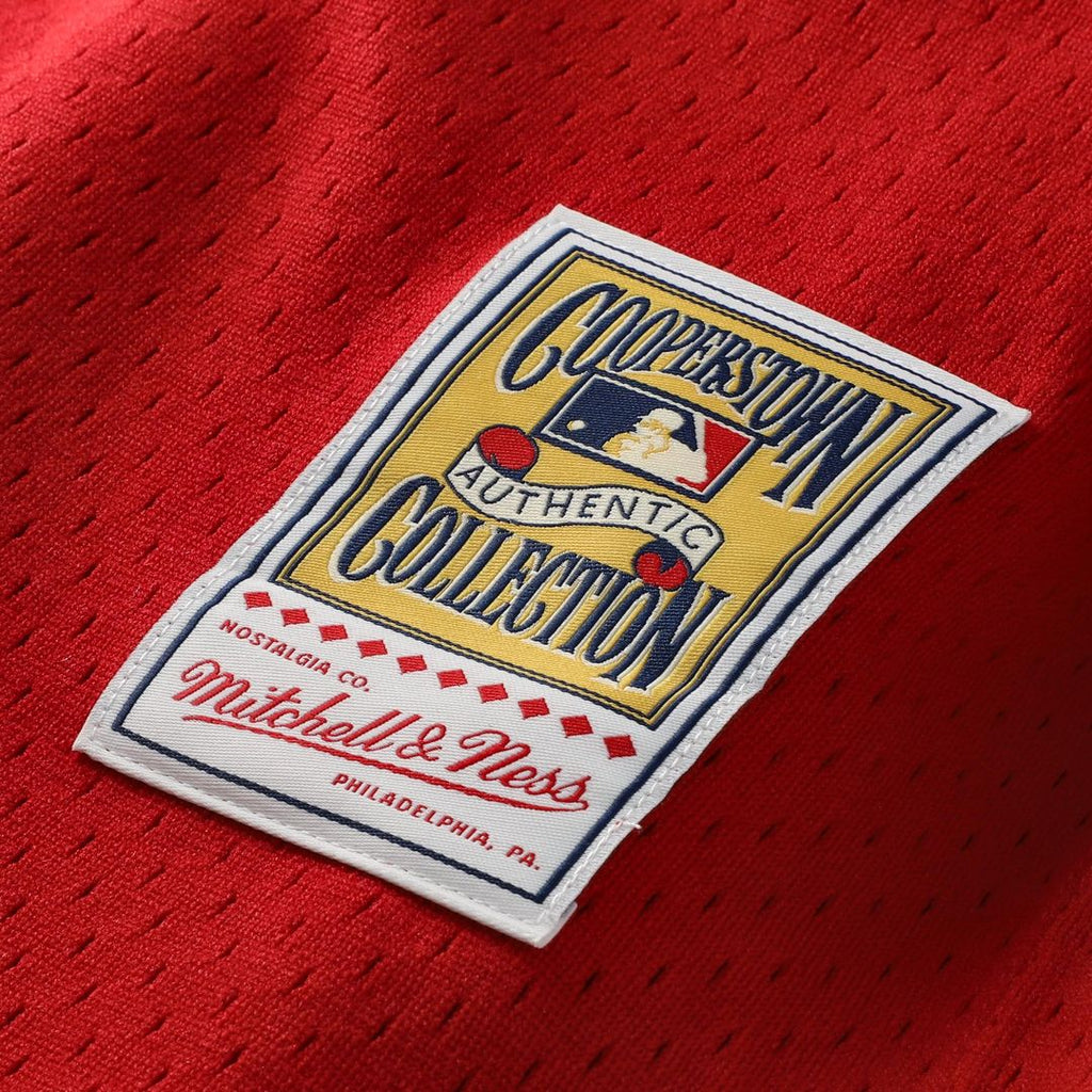 Cincinnati Reds Johnny Bench Mitchell & Ness Cooperstown Big & Tall Mesh Batting Practice Jersey - Red