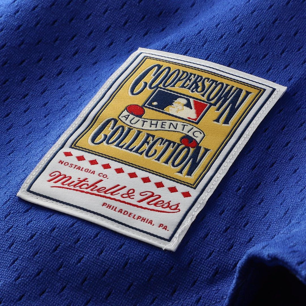 Chicago Cubs Ryne Sandberg Mitchell & Ness Cooperstown 1997 Mesh Batting Practice Button - Up Jersey - Royal