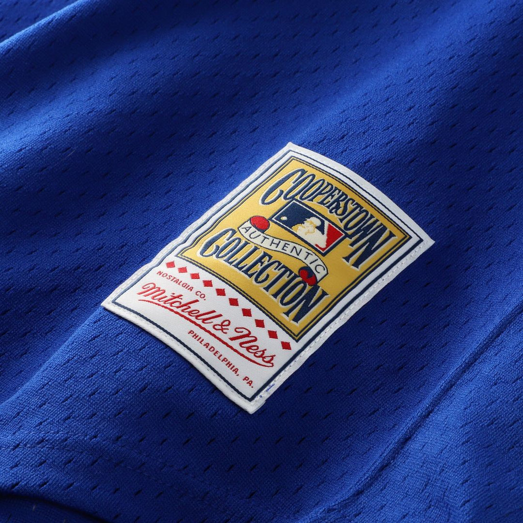 Atlanta Braves Dale Murphy Mitchell & Ness Authentic Batting Practice Jersey - Royal