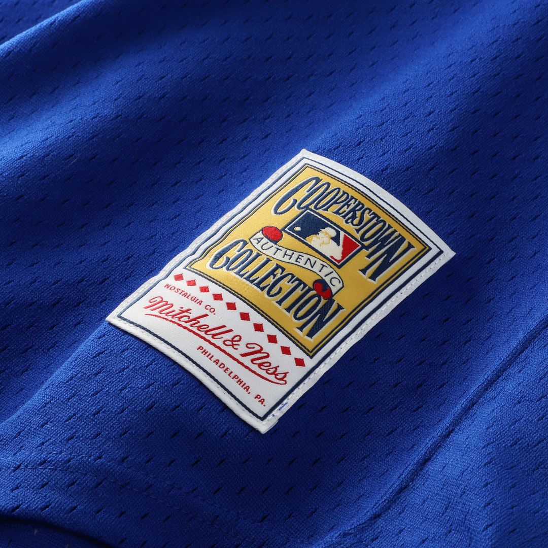 Atlanta Braves Dale Murphy Mitchell & Ness Authentic Batting Practice Jersey - Royal