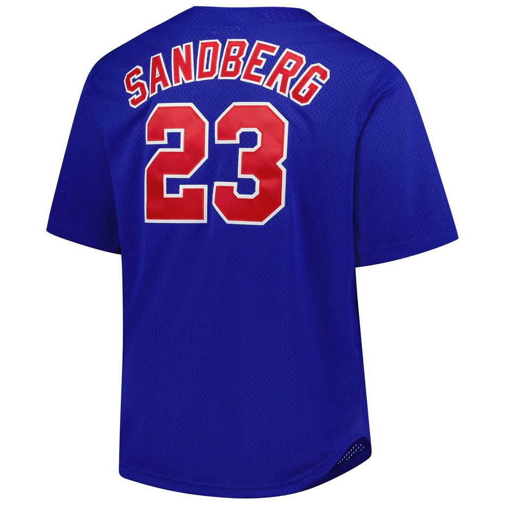 Chicago Cubs Ryne Sandberg Mitchell & Ness Big & Tall Cooperstown Mesh Batting Practice Jersey - Royal