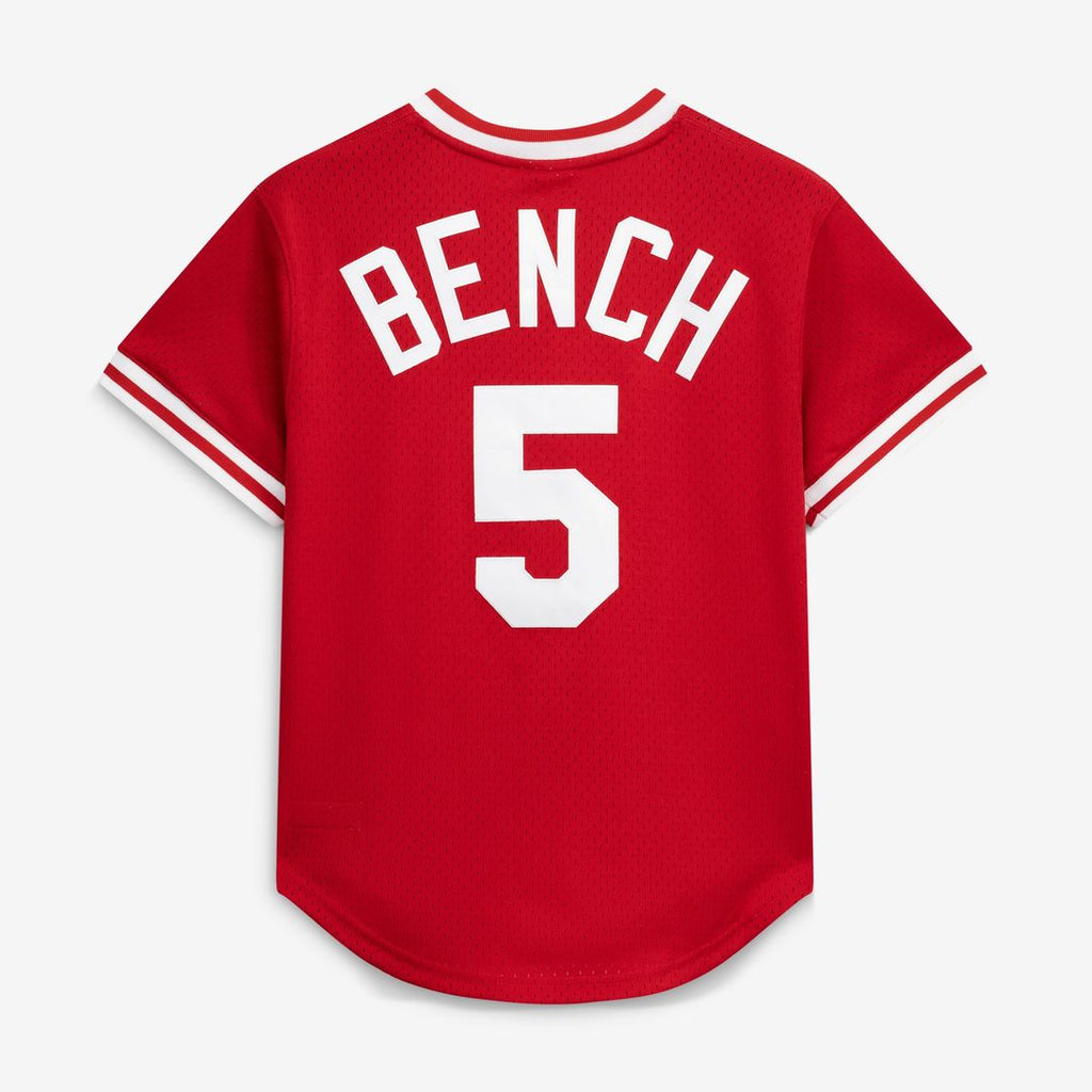 Cincinnati Reds Johnny Bench Mitchell & Ness Authentic Batting Practice Jersey - Scarlet