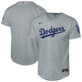 Los Angeles Dodgers Nike Youth Alternate Stadium Jersey - Gray