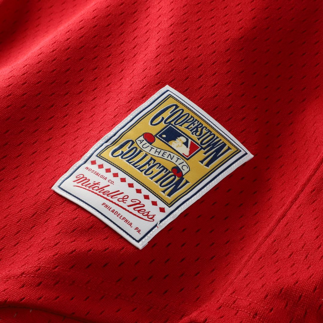 St. Louis Cardinals Ozzie Smith Mitchell & Ness Authentic Batting Practice Jersey - Scarlet