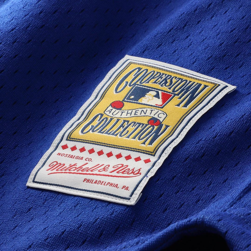 Chicago Cubs Ryne Sandberg Mitchell & Ness Cooperstown 1996 Mesh Batting Practice Button - Up Jersey - Royal