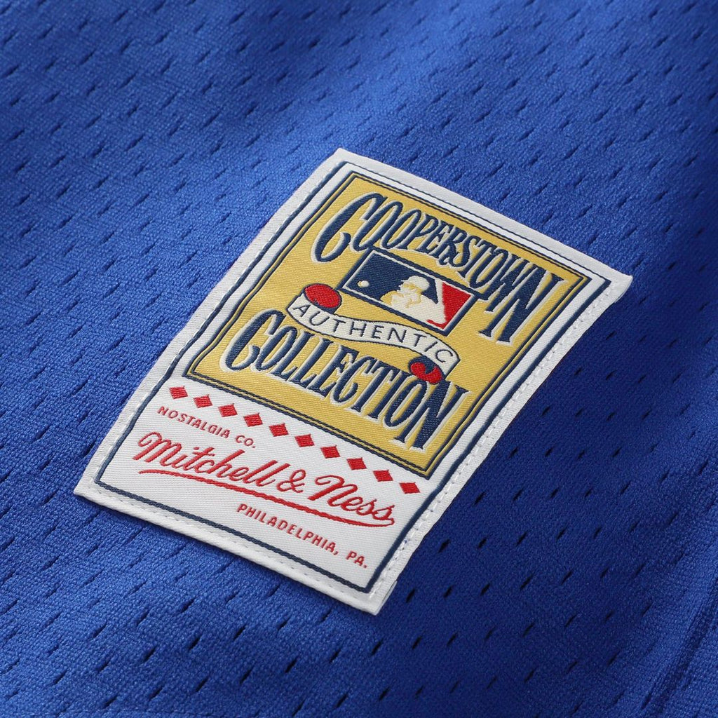 Kansas City Royals Bo Jackson Mitchell & Ness Authentic Batting Practice Jersey - Royal