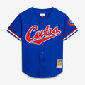 Chicago Cubs Ryne Sandberg Mitchell & Ness Cooperstown 1996 Mesh Batting Practice Button - Up Jersey - Royal