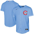 Chicago Cubs Nike Youth Alternate Replica Jersey - Light Blue