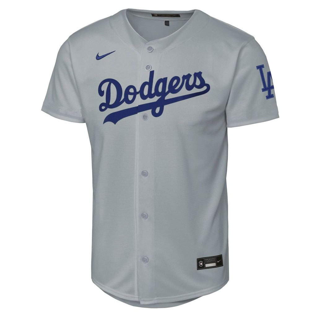Los Angeles Dodgers Nike Youth Alternate Stadium Jersey - Gray