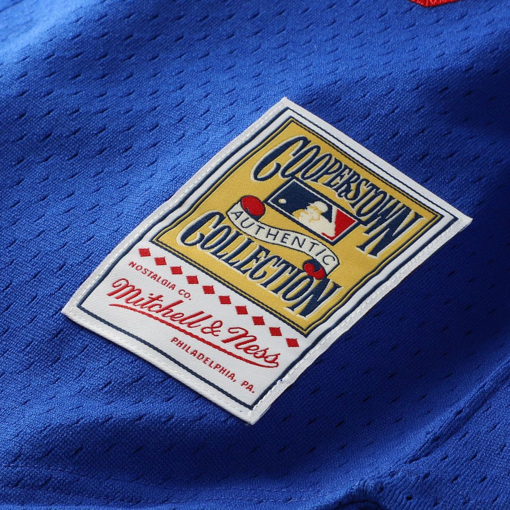 Los Angeles Dodgers Hideo Nomo Mitchell & Ness Big & Tall Cooperstown Mesh Batting Practice Jersey - Royal