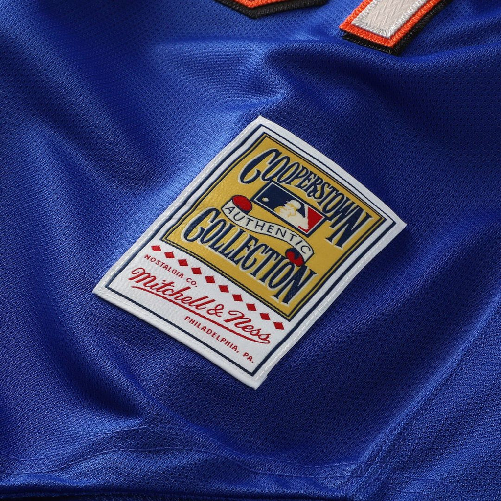 New York Mets Mike Piazza Mitchell & Ness Cooperstown Mesh Batting Practice Button - Up Jersey - Royal