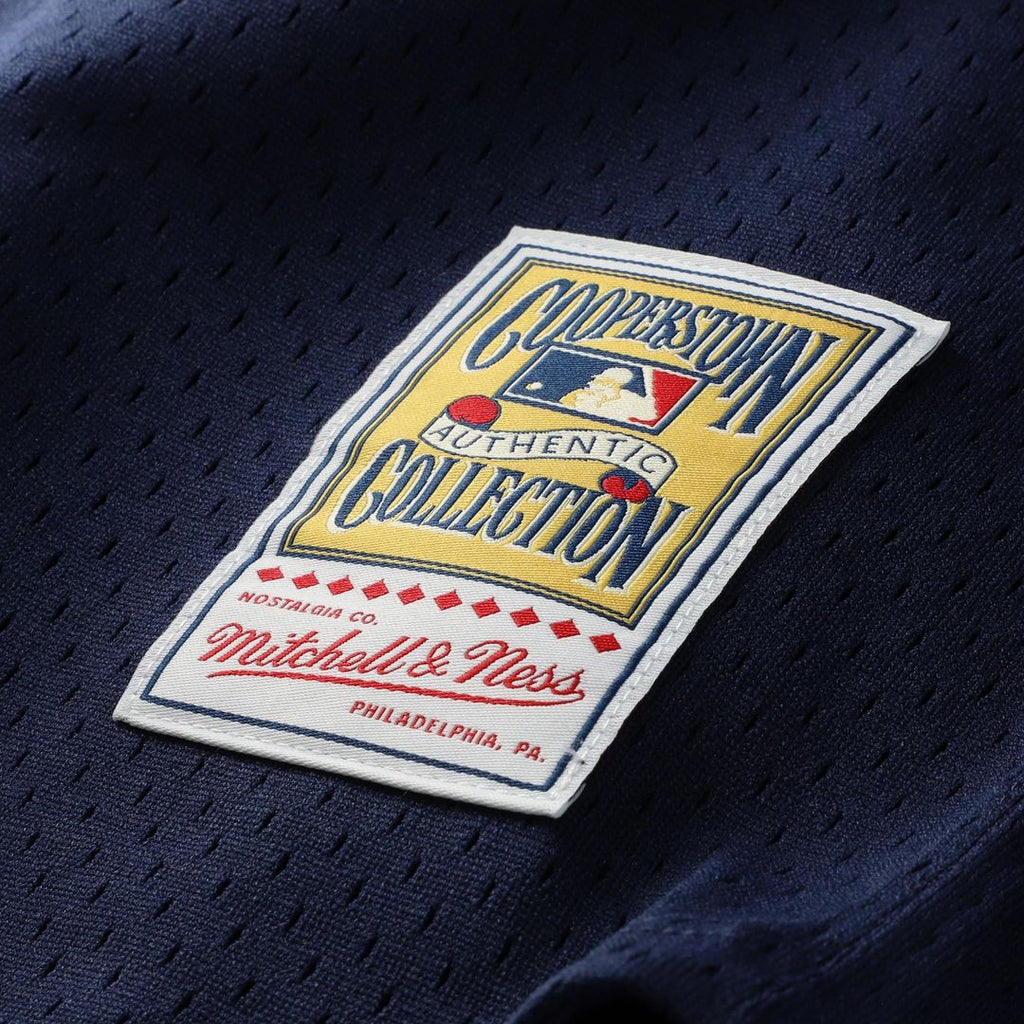 Chicago White Sox Carlton Fisk Mitchell & Ness Authentic Batting Practice Jersey - Navy