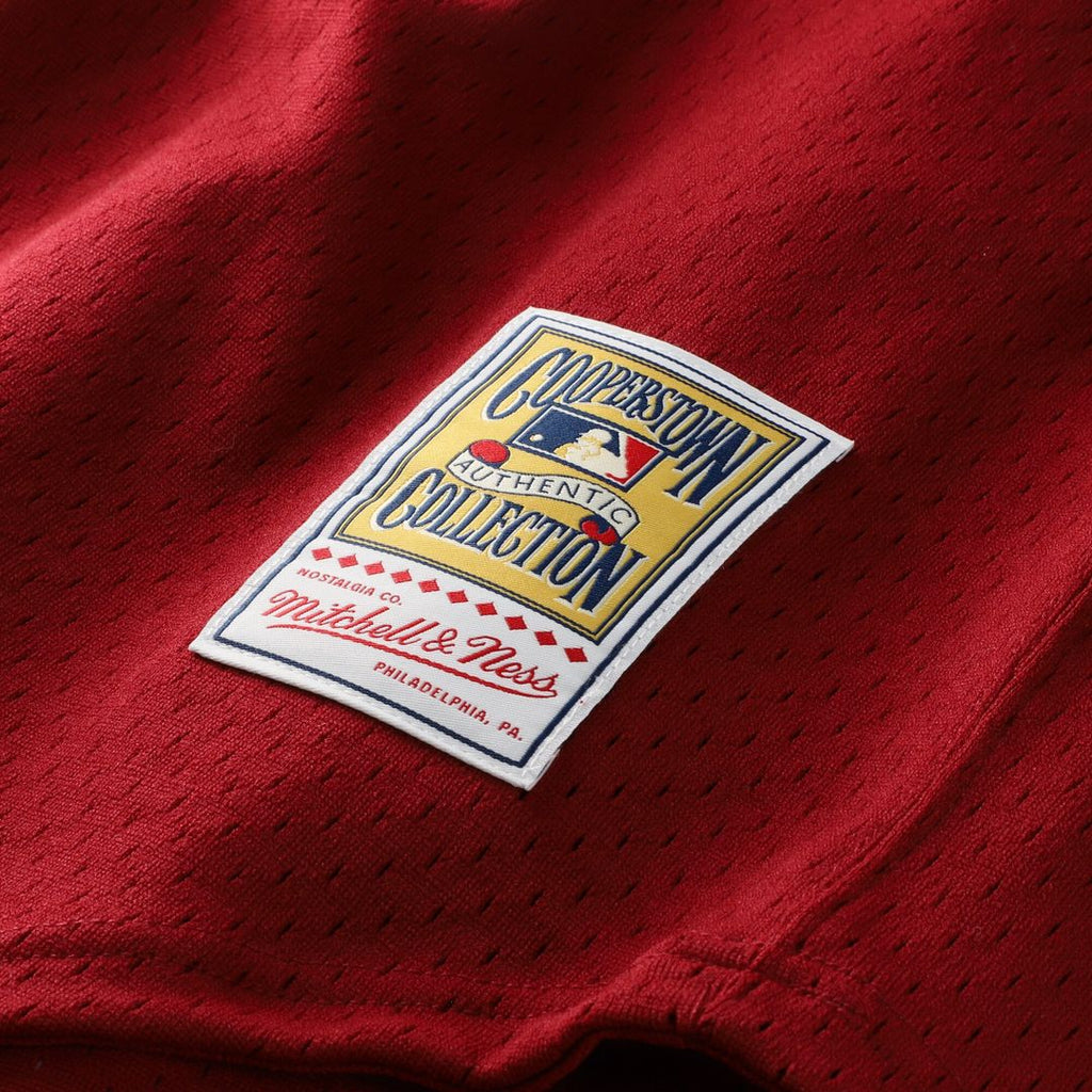 Philadelphia Phillies Darren Daulton Mitchell & Ness Authentic Batting Practice Jersey - Scarlet