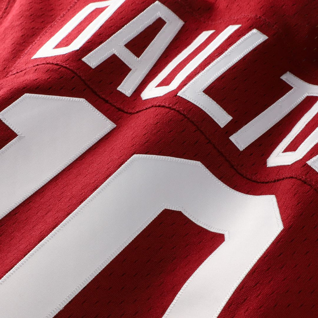 Philadelphia Phillies Darren Daulton Mitchell & Ness Authentic Batting Practice Jersey - Scarlet